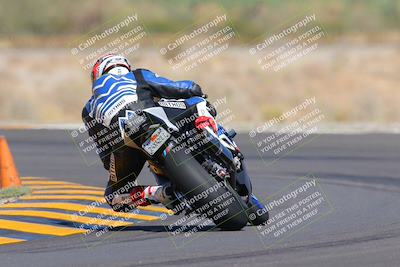 media/Oct-09-2022-SoCal Trackdays (Sun) [[95640aeeb6]]/Turn 14 Backside (1125am)/